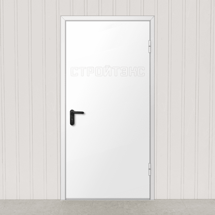 Дверь противопожарная металлическая EIS60 однопольная глухая